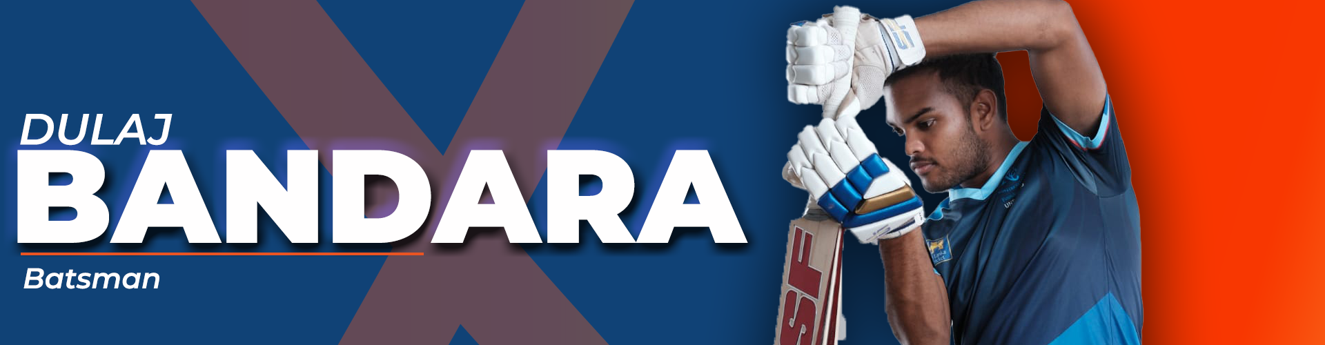Player Banner