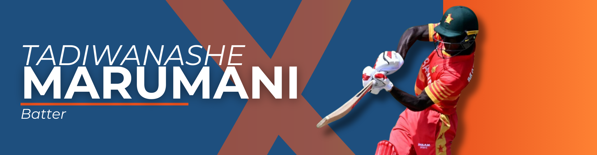 Player Banner