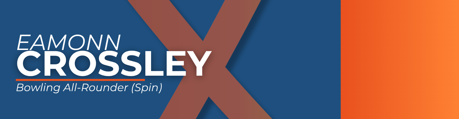 Player Banner